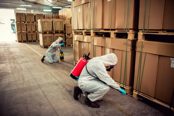 Best Local Pest Control Services  in Hughson, CA