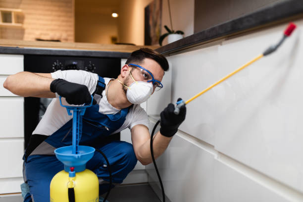 Best Insect Control  in Hughson, CA