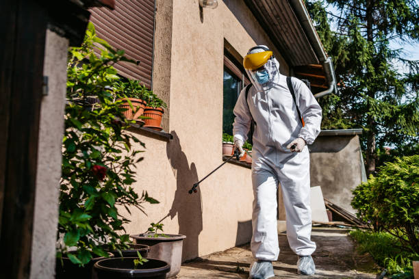 Best Mosquito Control Services  in Hughson, CA