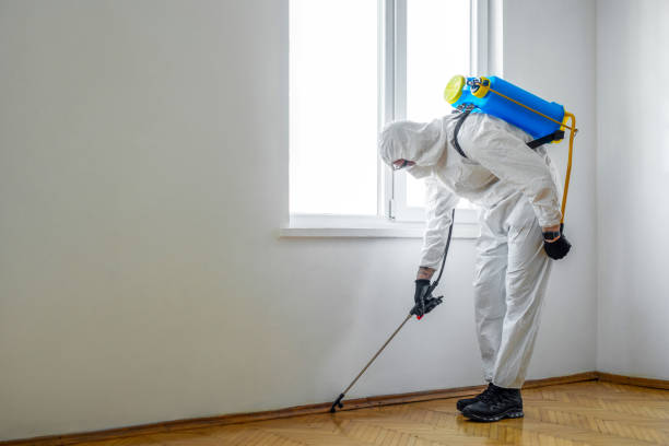 Best Exterminator Services  in Hughson, CA