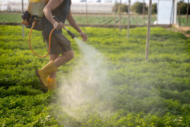 Best Pest Control Near Me  in Hughson, CA