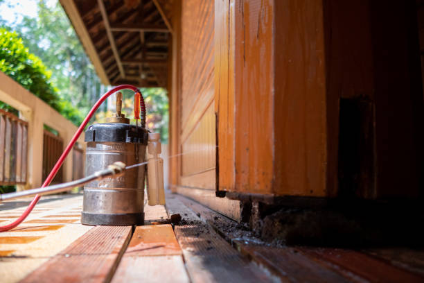Best Best Pest Control Companies  in Hughson, CA