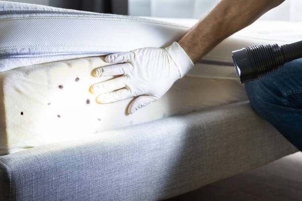 Best Pest Prevention Services  in Hughson, CA