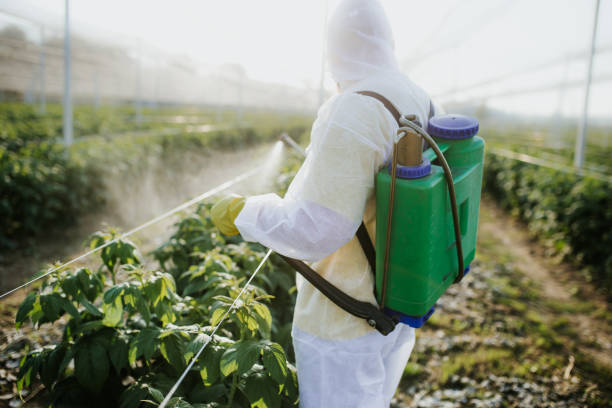 Best Pest Inspection Near Me  in Hughson, CA